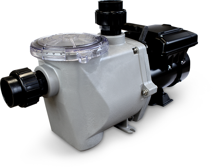 leaf pump variable speed pool pump